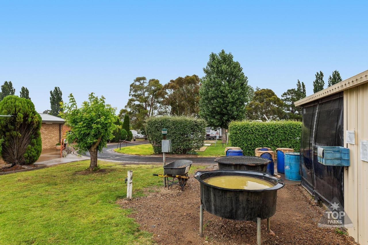 Fossicker Caravan Park Glen Innes Exterior photo